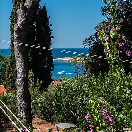 Emilia Pensión Banjole