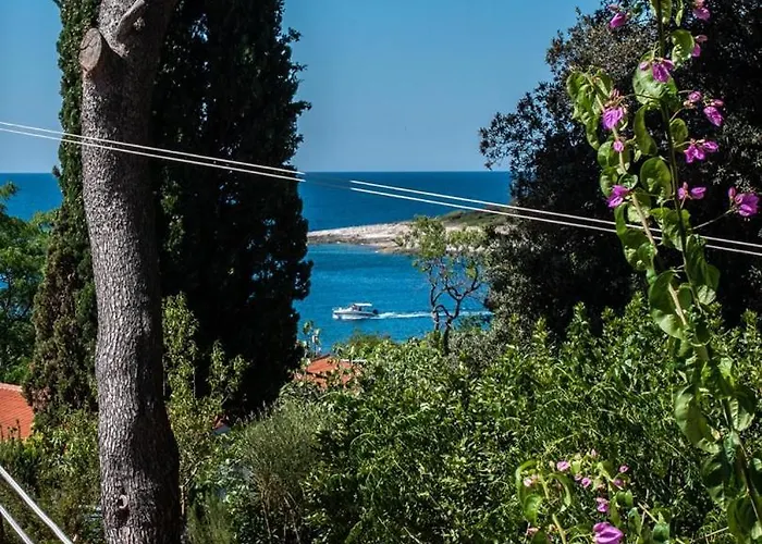 Emilia Gostinjska kuća Banjole