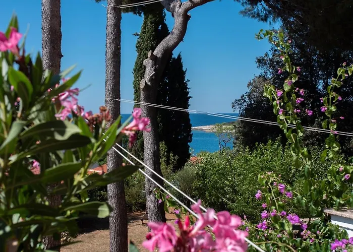 게스트하우스 Emilia 반졸레